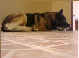 NERON